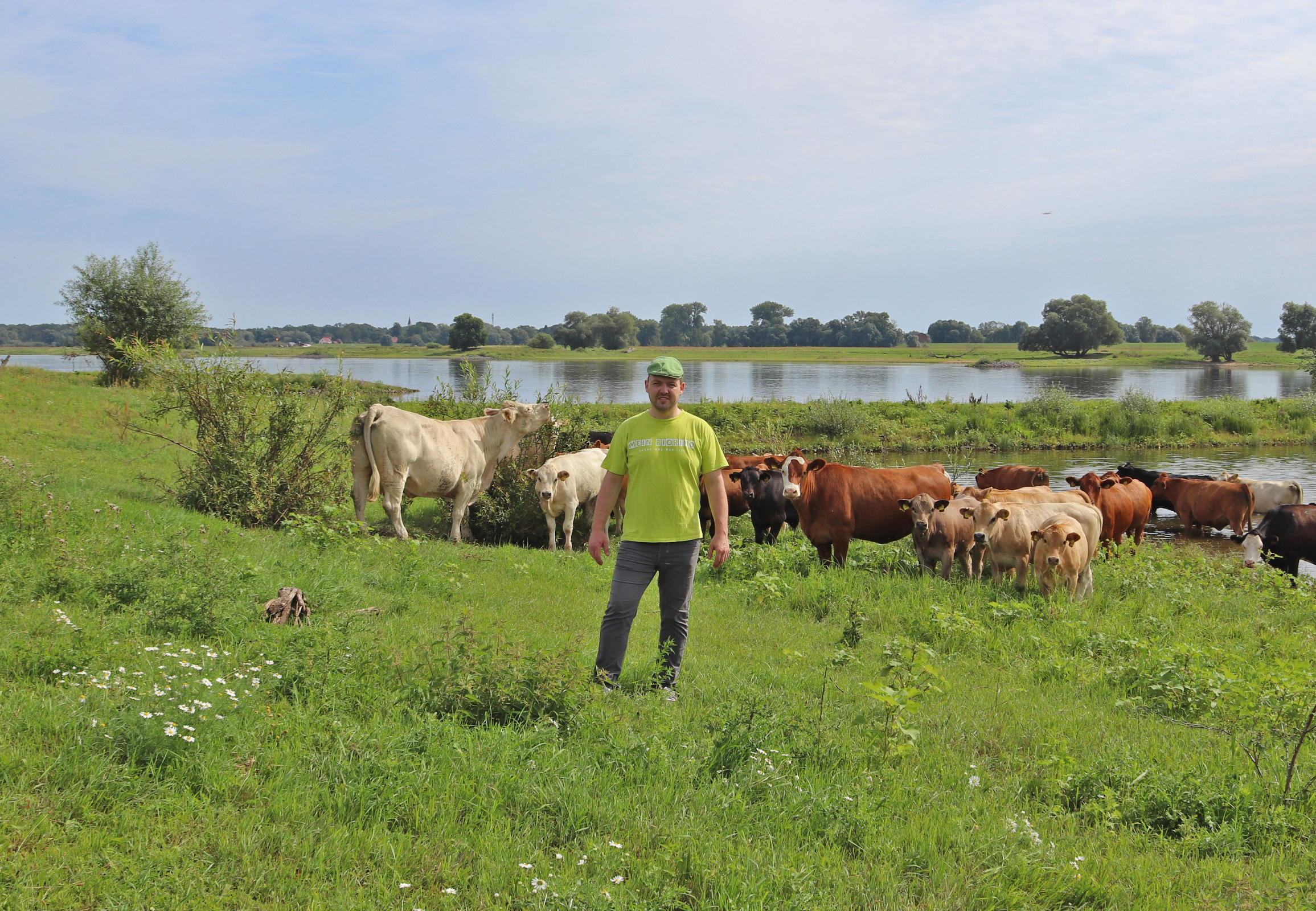 Auf der Weide